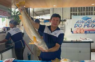 Venda de pescados na Quaresma tem alta nos preços e consumidores mantêm tradição (Foto: Gabriel Prado/Conecta Piauí) Venda de pescados na Quaresma tem alta nos preços e consumidores mantêm tradição (Foto: Gabriel Prado/Conecta Piauí)