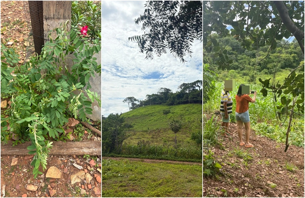 Agricultor usa drone para lançar agrotóxico e prejudica plantações em Caxingó