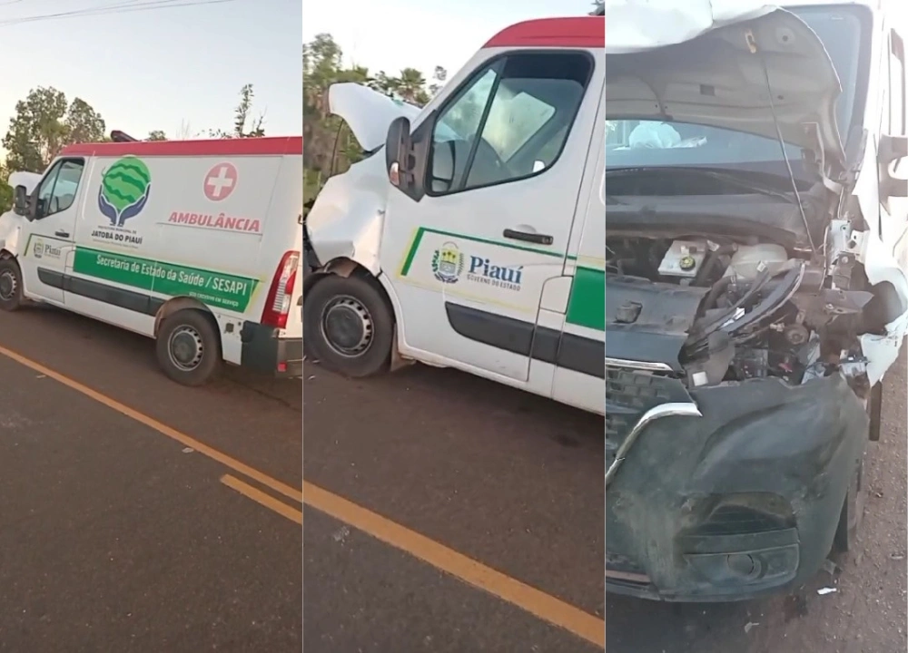 Ambulância colide com cavalo solto na PI-320 entre Jatobá do Piauí e Campo Maior