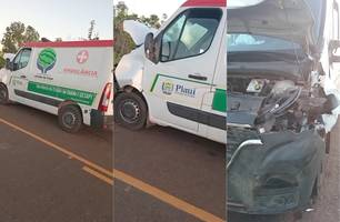 Ambulância colide com cavalo solto na PI-320 entre Jatobá do Piauí e Campo Maior (Foto: Reprodução)