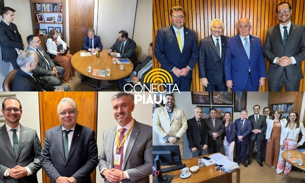 Crea-PI é destaque na Agenda Legislativa para Engenharia e Agronomia em Brasília