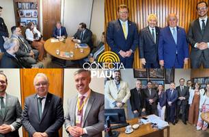 Crea-PI é destaque na Agenda Legislativa para Engenharia e Agronomia em Brasília (Foto: Reprodução)