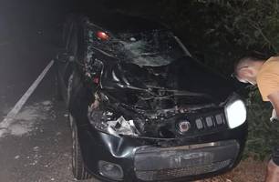 Família sobrevive a colisão com animal na pista entre Teresina e Castelo do Piauí (Foto: Reprodução)
