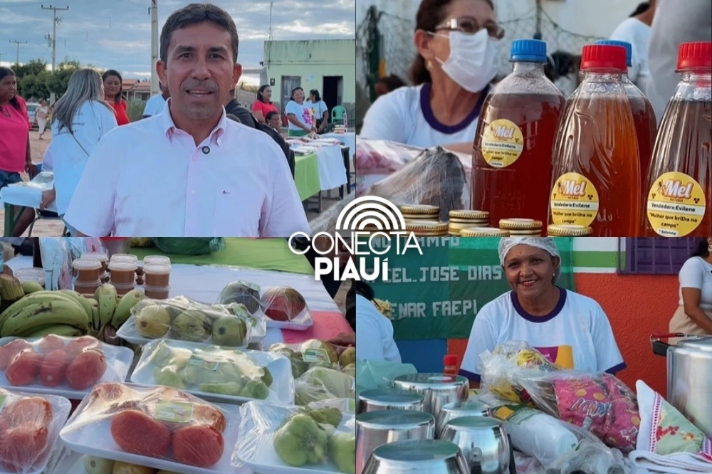 Feira Mulheres em Campo movimenta povoado Salininha em Coronel José Dias