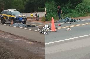 Grave acidente na BR-343 deixa duas pessoas mortas entre Teresina e Altos (Foto: Reprodução)