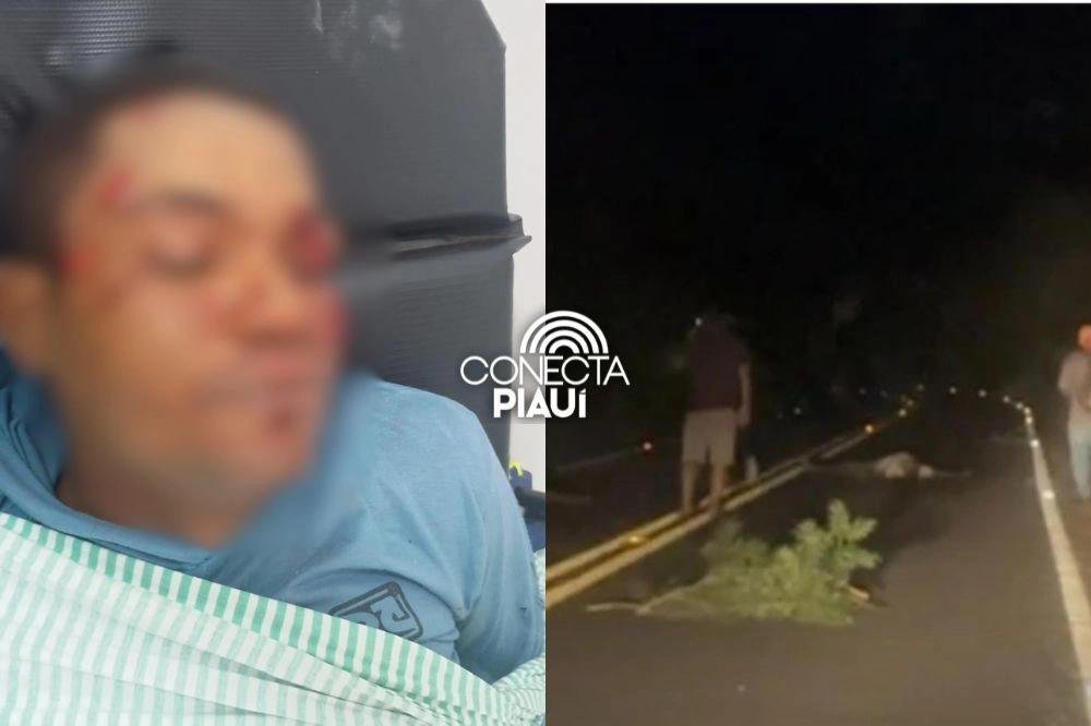 Idoso morre e homem fica gravemente ferido após grave colisão na PI-115