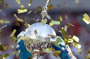 Libertadores (Foto: Vitor Silva/Botafogo)