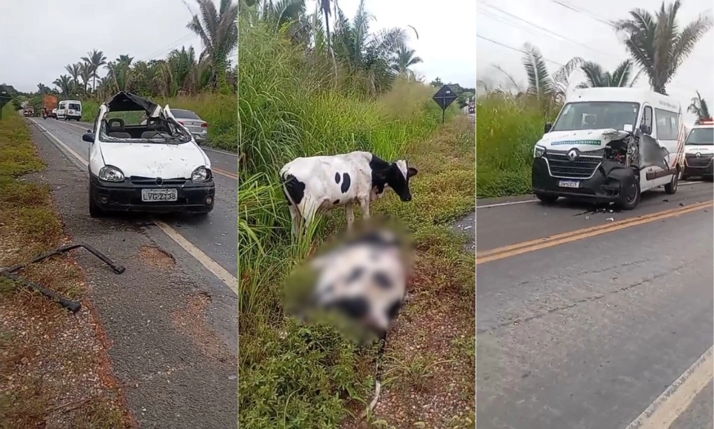 Motorista fica ferido após ter carro ‘esmagado’ por boi entre Teresina e Nazária