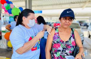 Piauí já recebeu 568 mil doses da vacina contra Influenza para campanha de 2025 (Foto: Reprodução) Piauí já recebeu 568 mil doses da vacina contra Influenza para campanha de 2025 (Foto: Reprodução)