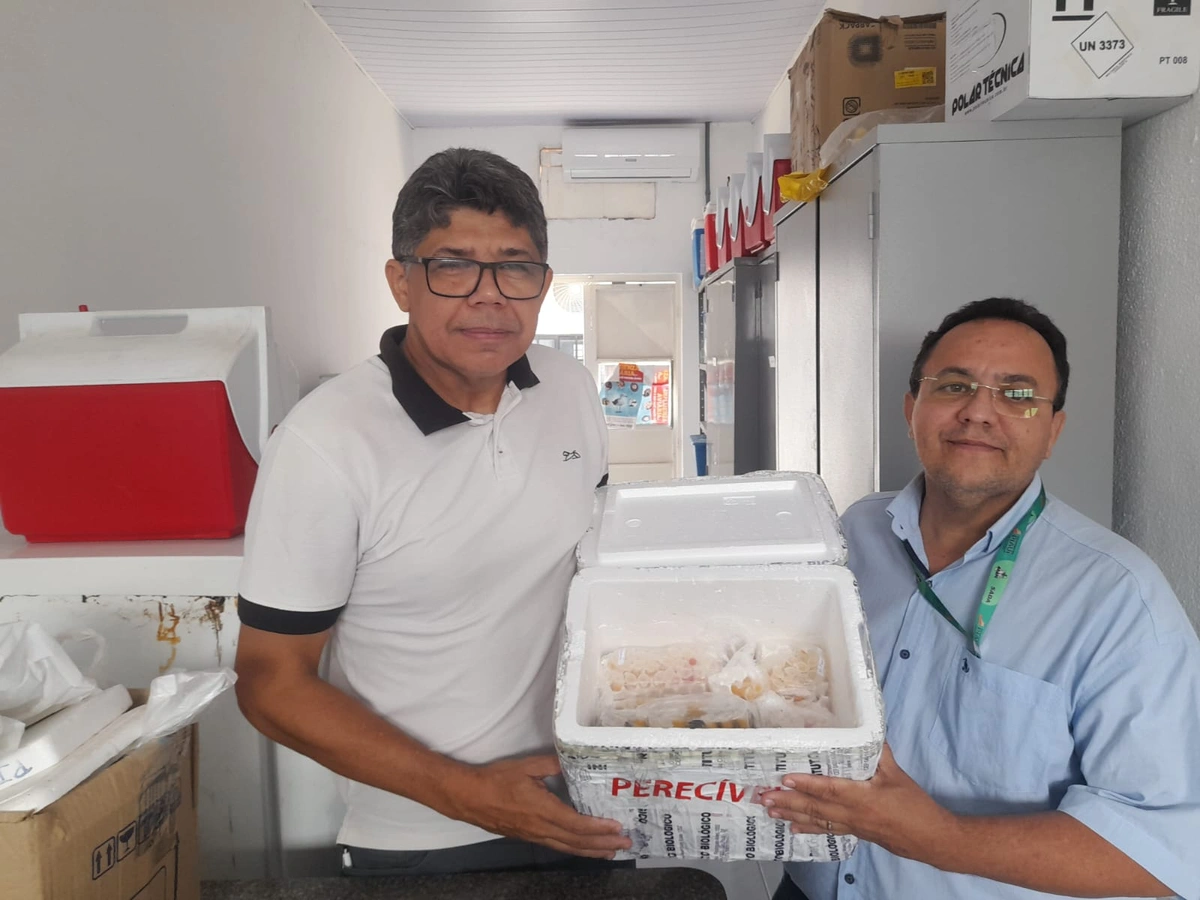 Piauí recebe 1º lote de amostras para detecção de brucelose e tuberculose bovina