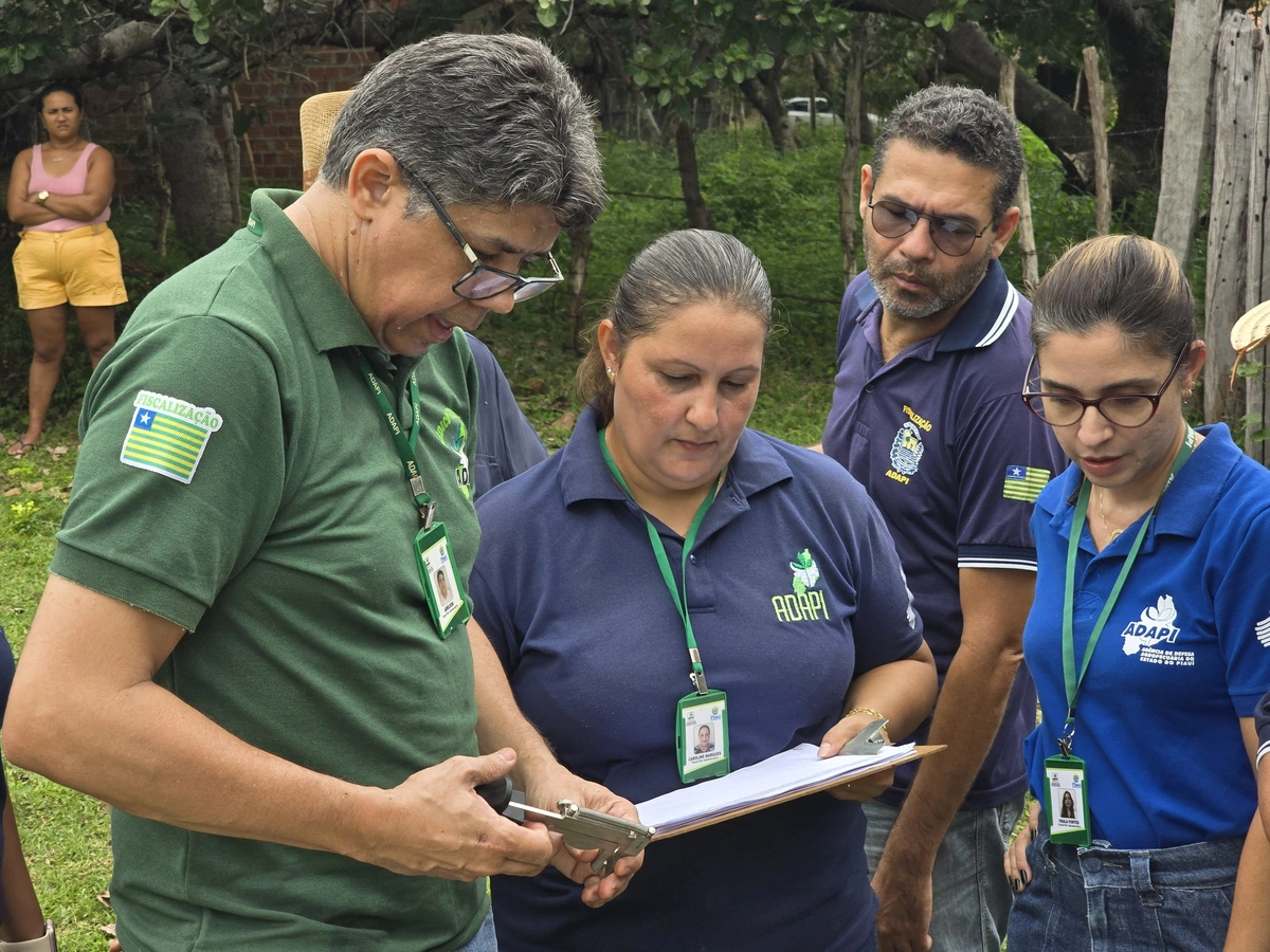 Piauí recebe 1º lote de amostras para detecção de brucelose e tuberculose bovina