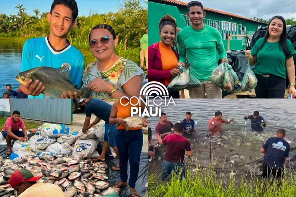 Prefeitura de Curralinhos distribui peixes no município na Semana Santa