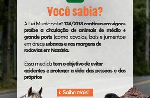 Prefeitura de Nazária reforça campanha de conscientização sobre animais soltos em vias públicas (Foto: Divulgação) Prefeitura de Nazária reforça campanha de conscientização sobre animais soltos em vias públicas (Foto: Divulgação)