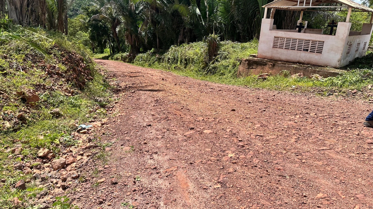 Roço da Semana Santa garante renda e trabalho a milhares em São João do Arraial