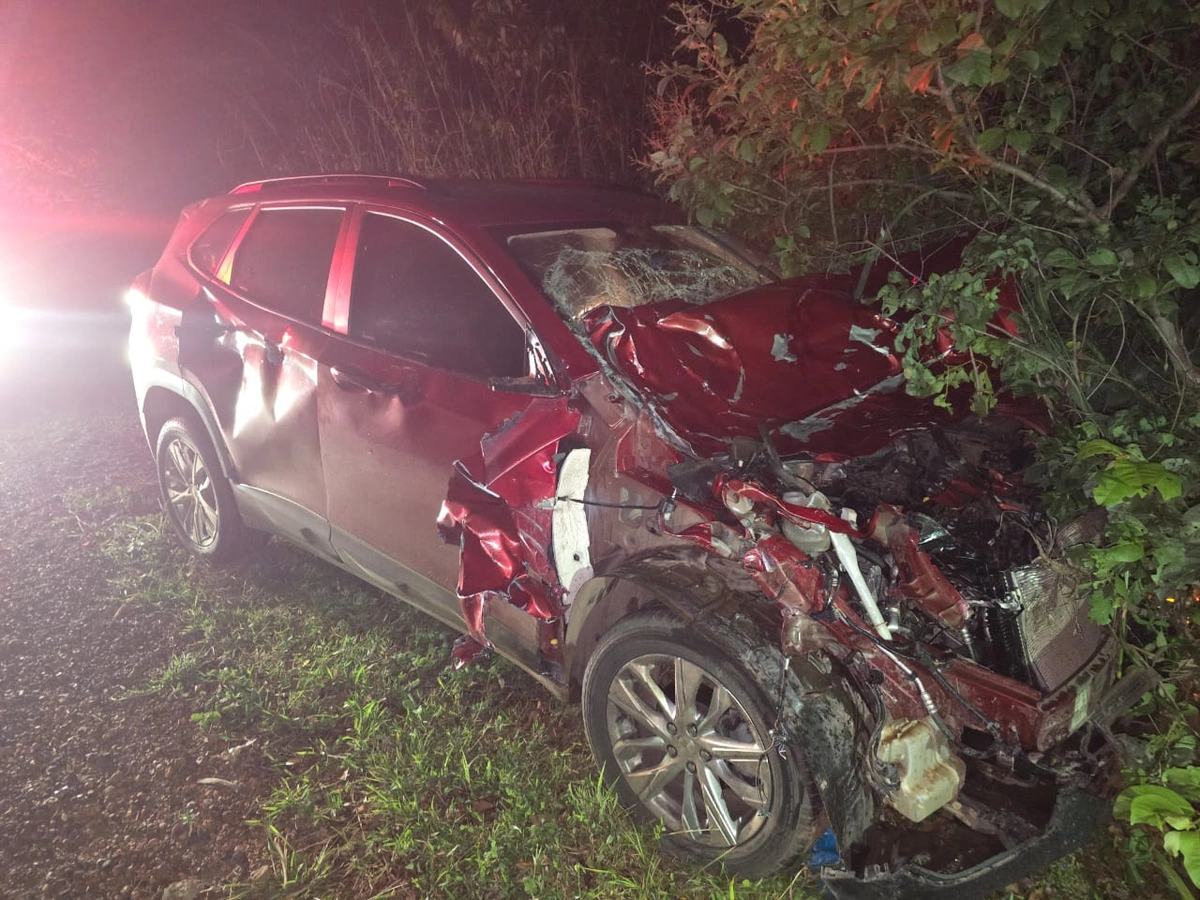 Acidente com animal de grande porte deixa veículo destruído em José de Freitas