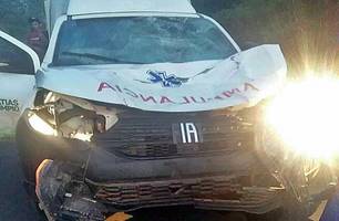 Ambulância de Matias Olímpio colide com vaca solta na BR-222, no Norte do Piauí (Foto: Reprodução)