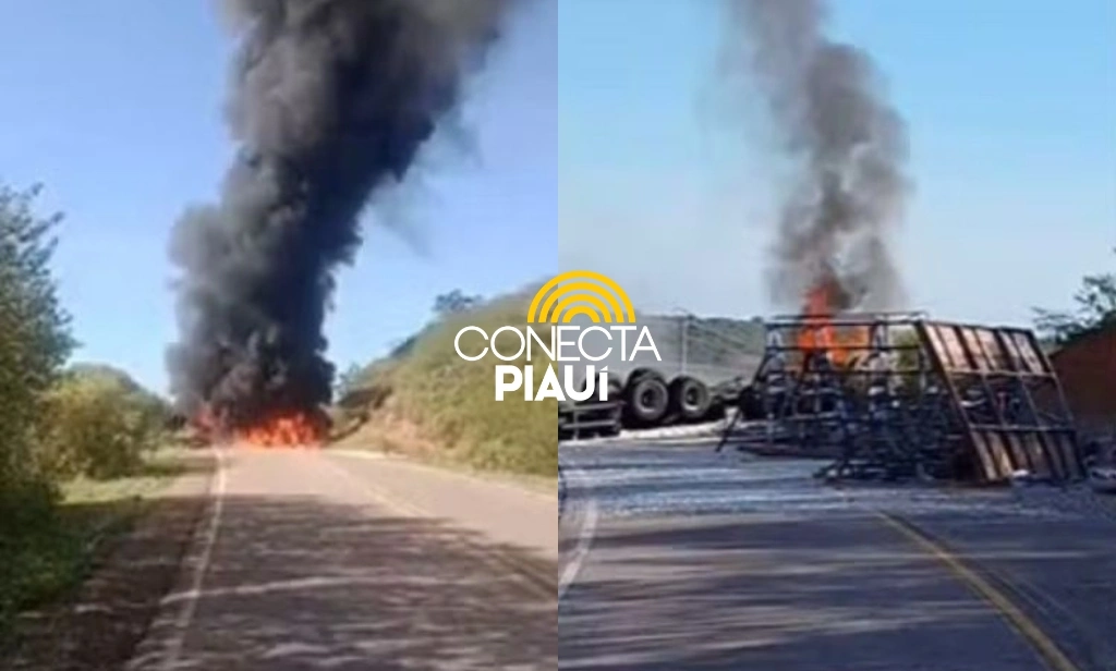 Caminhão tomba e pega fogo na BR-020, no Sul do Piauí; passageiro morreu