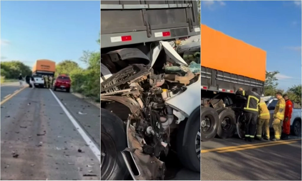 Colisão entre caminhonete e carreta deixa um morto na BR-316