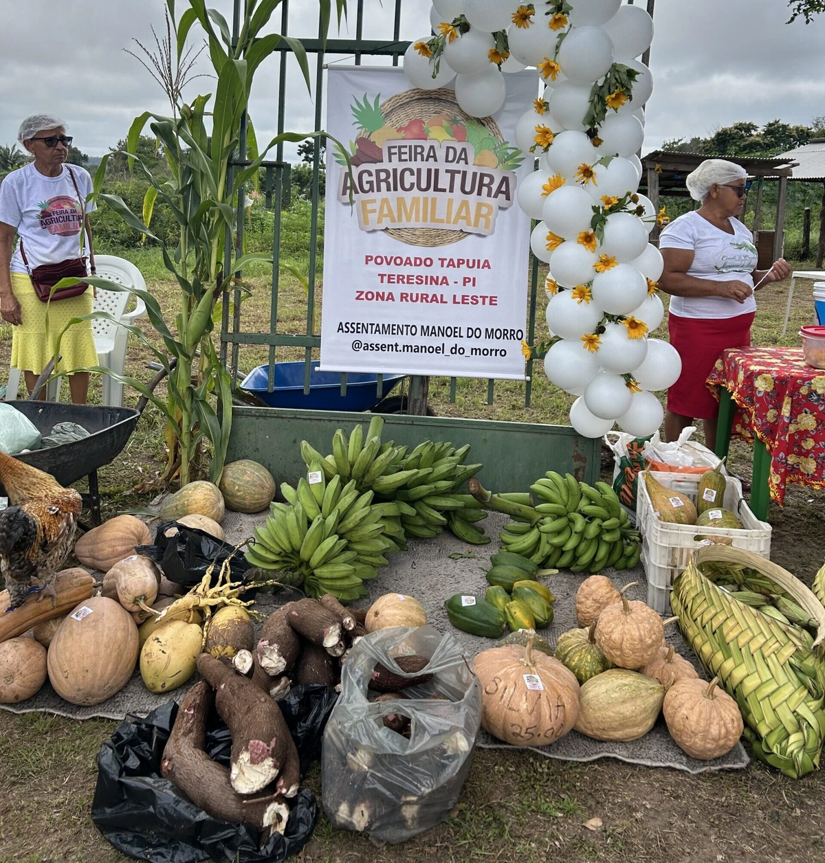 Com apoio da SAF, feira impulsiona comercialização da produção de mulheres de assentamento na zona rural de Teresina