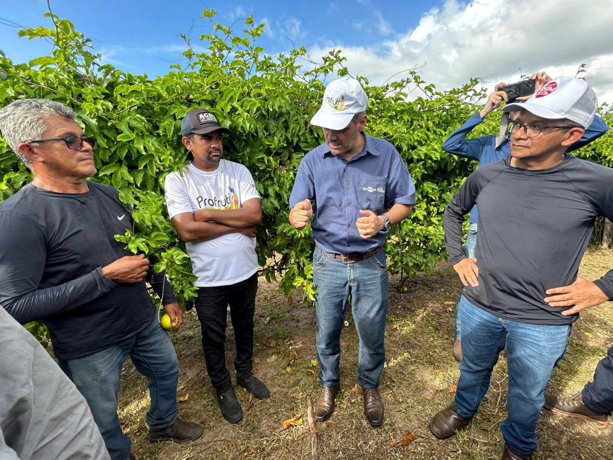 Embrapa impulsiona cultivo de maracujá irrigado com novas tecnologias no Piauí