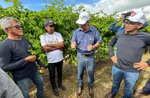 Embrapa impulsiona cultivo de maracujá irrigado com novas tecnologias no Piauí (Foto: Reprodução)