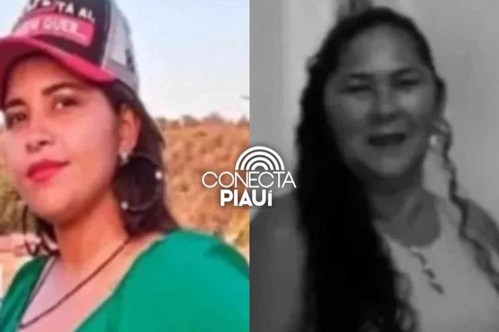 Ex-namorado mata mulher e tia a facadas no Maranhão após confraternização