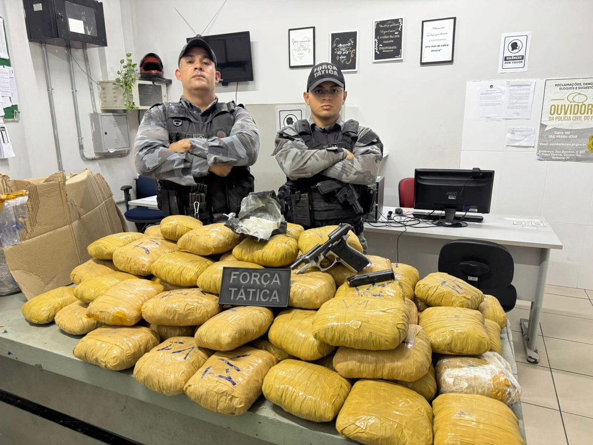 Grande quantidade de droga apreendida em Floriano