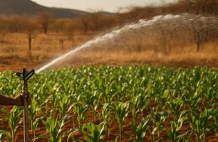 Irrigação irregular estaria prejudicando abastecimento de água em cidade do Piauí (Foto: Reprodução)