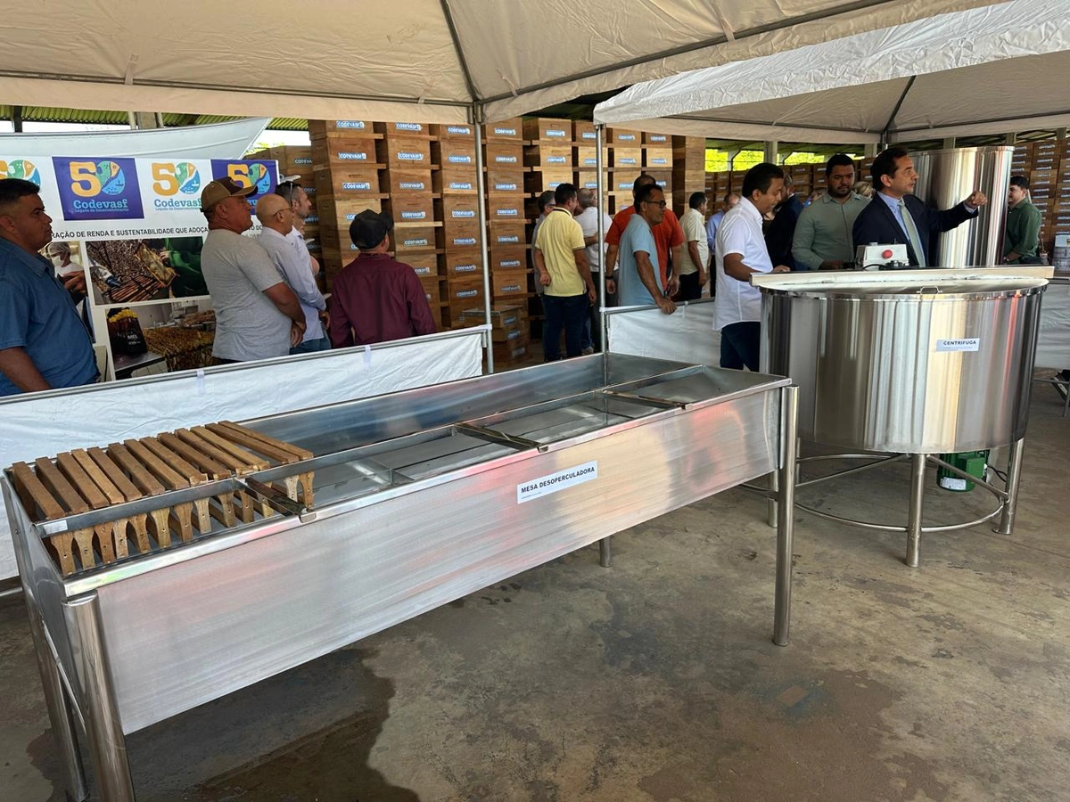 Maior entrega de colmeias do Piauí deve gerar aporte de 500 toneladas/ano de mel