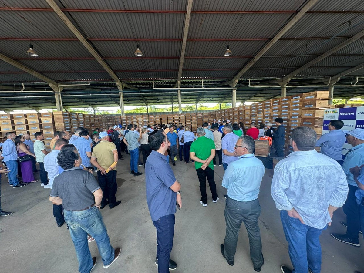 Maior entrega de colmeias do Piauí deve gerar aporte de 500 toneladas/ano de mel