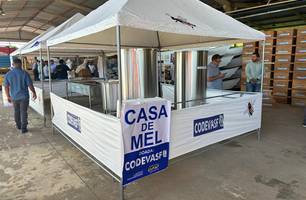 Maior entrega de colmeias do Piauí deve gerar aporte de 500 toneladas/ano de mel (Foto: Reprodução)