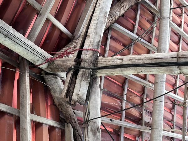 MPT obtém liminar em ação contra granja por colocar trabalhadores em risco no PI