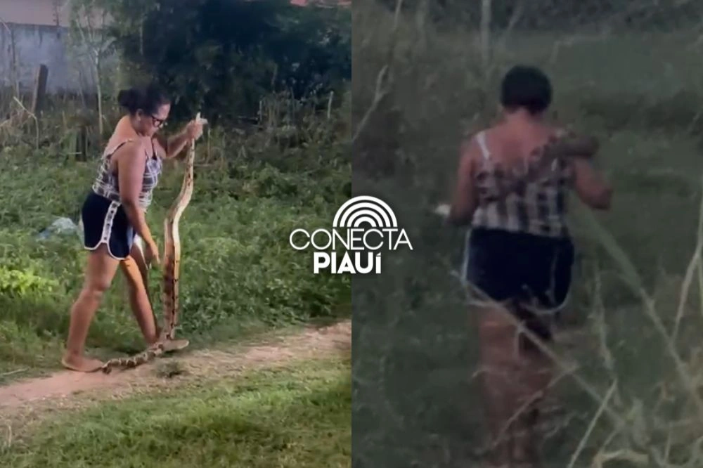 Mulher pega cobra com as mãos e surpreende moradores em bairro de Timon