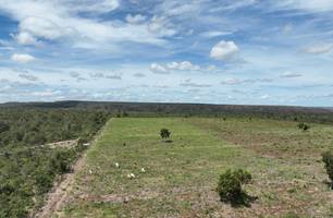 PI: operação da Semarh aplica multas milionárias contra desmatamento ilegal no sul (Foto: Reprodução) PI: operação da Semarh aplica multas milionárias contra desmatamento ilegal no sul (Foto: Reprodução)