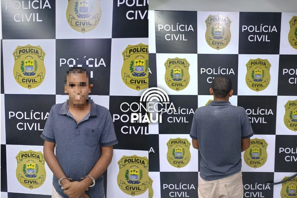 Polícia Civil prende homem em flagrante por furto qualificado em Teresina