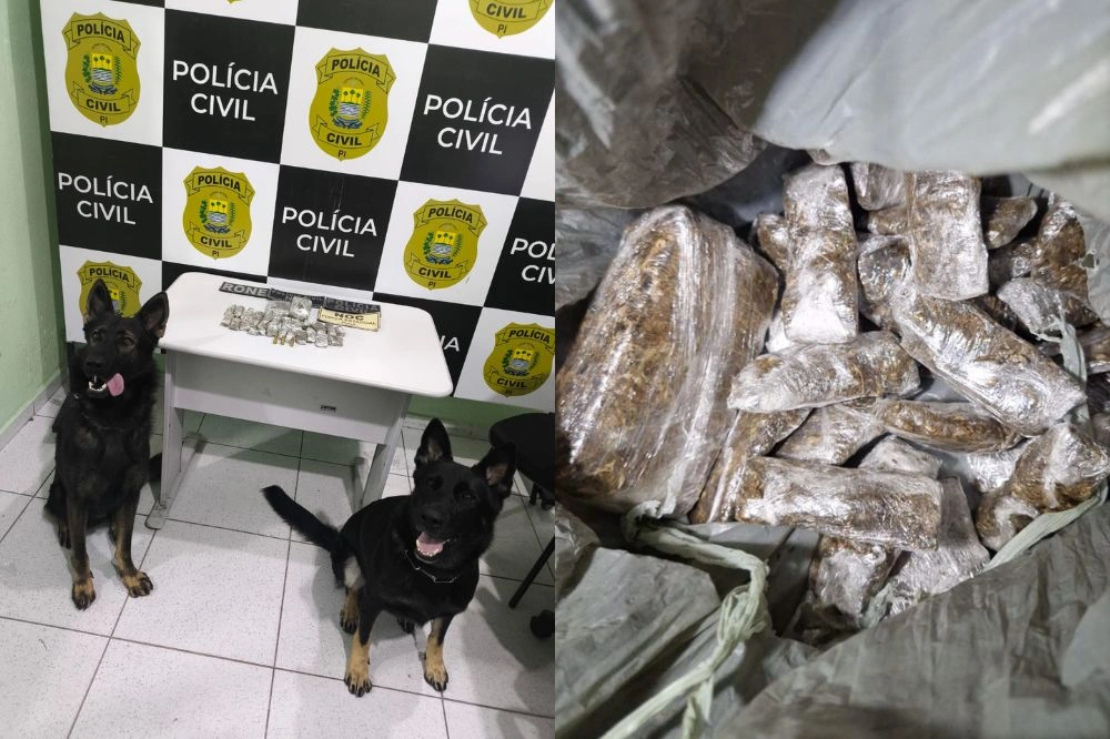 Polícia Civil realiza operação na 'Cidade Sem Deus' e prende suspeito por tráfico