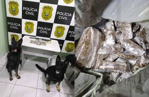 Polícia Civil realiza operação na 'Cidade Sem Deus' e prende suspeito por tráfico (Foto: Reprodução/SSP) Polícia Civil realiza operação na 'Cidade Sem Deus' e prende suspeito por tráfico (Foto: Reprodução/SSP)