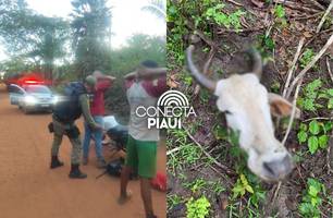 Polícia intensifica Operação Saturação contra roubo de gado em povoados de Nazária (Foto: Repórter 12/Conecta Piauí) Polícia intensifica Operação Saturação contra roubo de gado em povoados de Nazária (Foto: Repórter 12/Conecta Piauí)