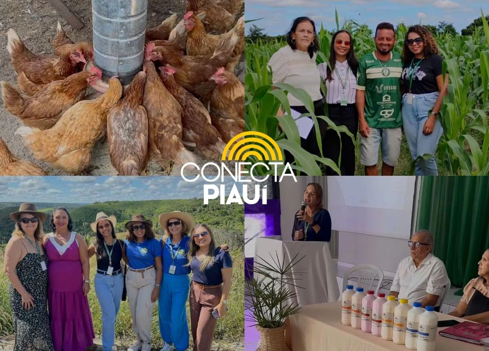 Prefeitura de Curralinhos recebe equipe PNAE para fortalecer alimentação escolar