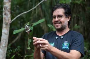 Prefeitura de Timon realiza soltura de aves silvestres no Sítio Tamboril (Foto: Reprodução) Prefeitura de Timon realiza soltura de aves silvestres no Sítio Tamboril (Foto: Reprodução)