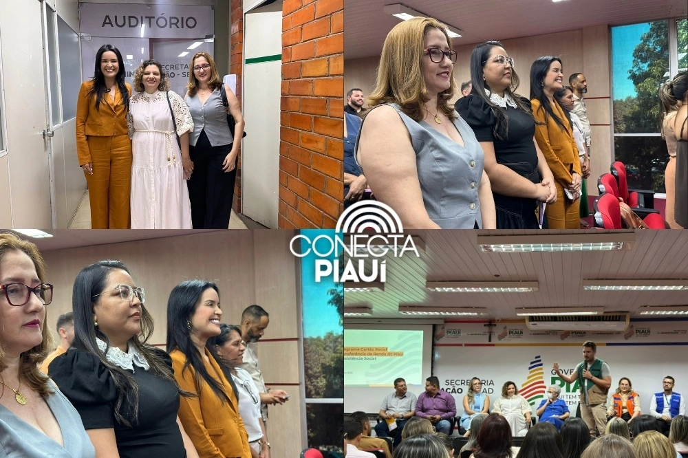 São Raimundo Nonato participa de encontro estadual da Força de Proteção do SUAS