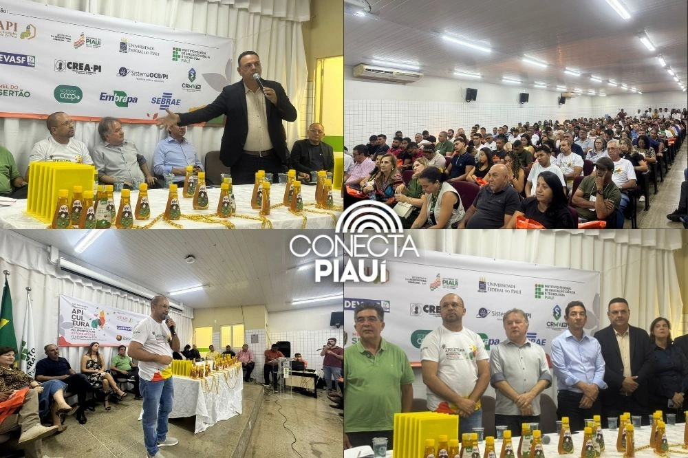 São Raimundo Nonato sedia seminário e feira sobre apicultura e meliponicultura