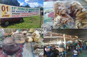 11ª Feira do Babaçu Livre valoriza cultura e sustento de comunidade em União (Foto: Repórter 12/Conecta Piauí) 11ª Feira do Babaçu Livre valoriza cultura e sustento de comunidade em União (Foto: Repórter 12/Conecta Piauí)