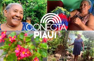A força de Maria: mãe que empreende sonhos e transforma a realidade ao seu redor (Foto: Jhone Sousa / Conecta Piauí) A força de Maria: mãe que empreende sonhos e transforma a realidade ao seu redor (Foto: Jhone Sousa / Conecta Piauí)