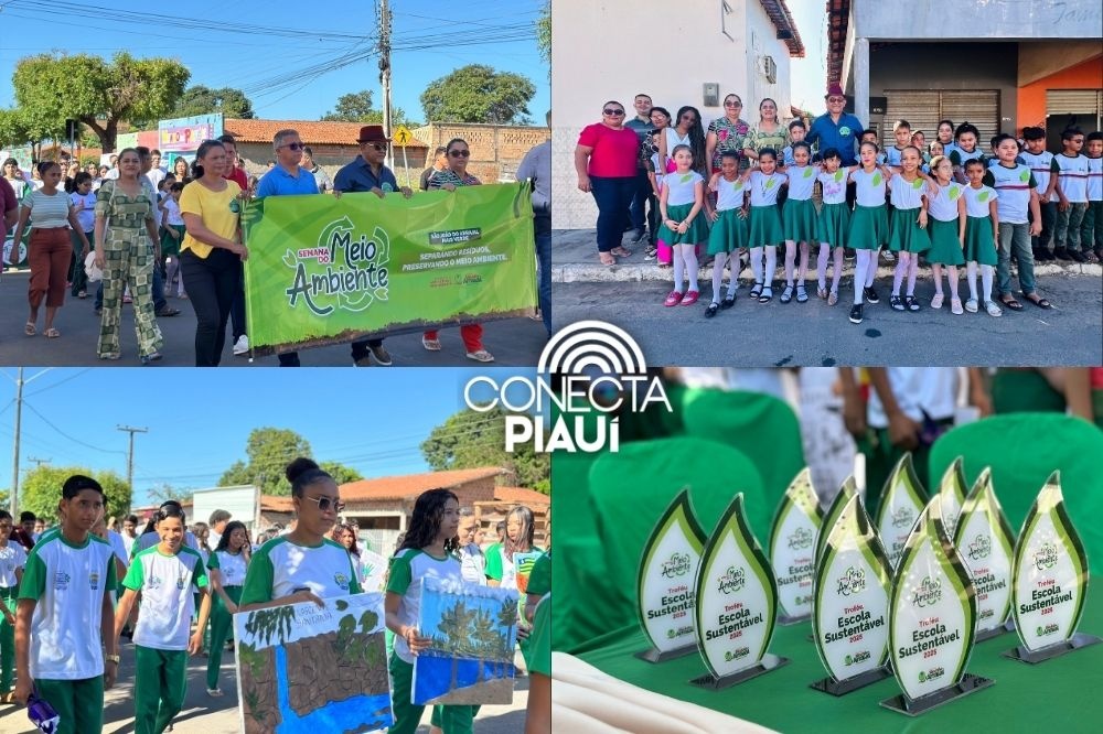 Ações ecológicas marcam celebração do Meio Ambiente em São João do Arraial