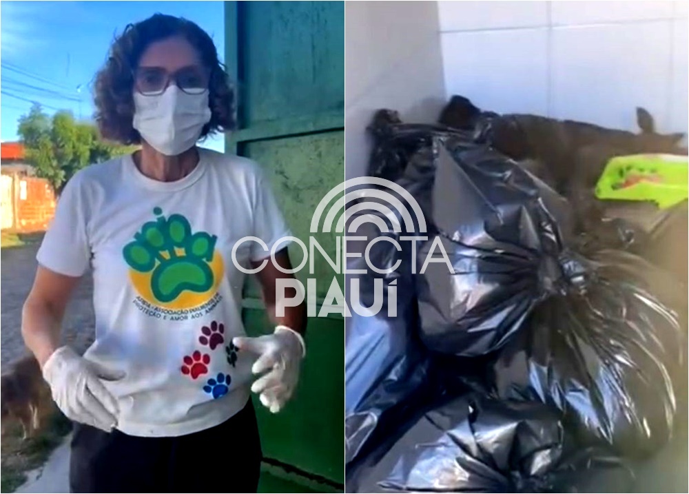 Apipa denuncia falta da coleta de lixo e cobra ação do prefeito Silvio Mendes