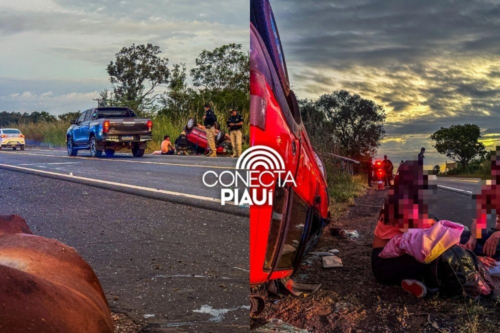 Casal fica ferido após colisão com cavalos na BR-343; um animal morreu no local