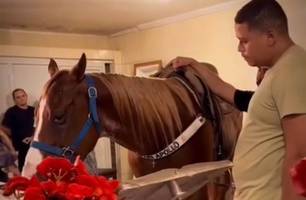 Cavalo de Robin da Carne é levado a velório para último adeus ao empresário (Foto: Reprodução)