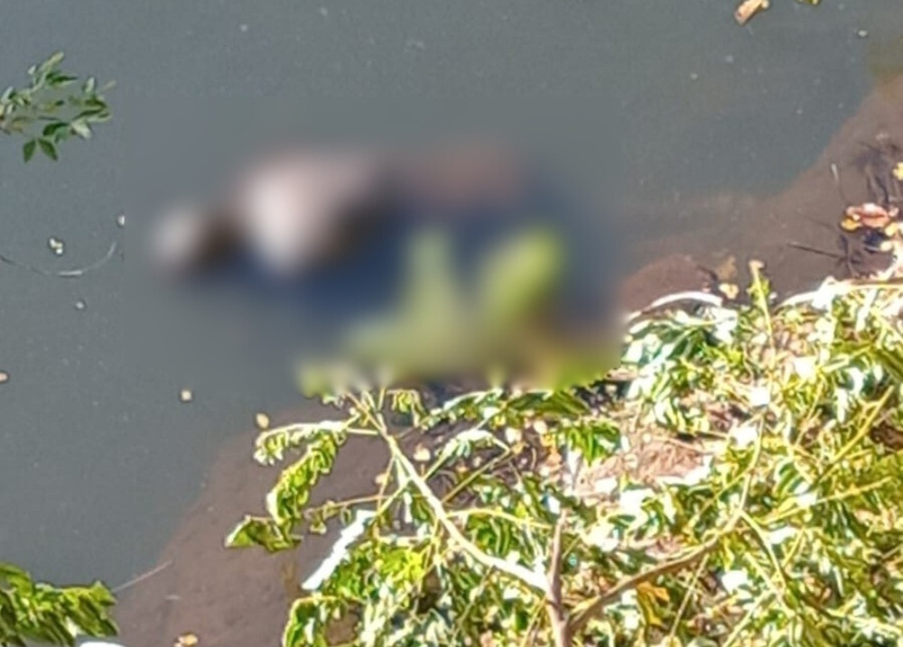 Corpo de homem é encontrado boiando dentro do Rio Parnaíba, zona Sul de Teresina