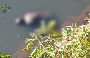 Corpo de homem é encontrado boiando dentro do Rio Parnaíba, zona Sul de Teresina (Foto: Reprodução)